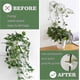 thumbnail image 4 of 400 Pieces Climbing Plant Support Clip, Wall Plant Clip, Vine Wall Clip, Clip For Climbing Plants -white, 4 of 4