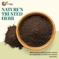 thumbnail image 5 of NY SPICE SHOP Black Walnut Leaf Powder - 04 Ounce - Juglans Nigra - American Black Walnut Leaf Powder - Black Walnut Powder, 5 of 7