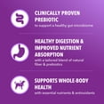 thumbnail image 6 of IAMS Advanced Health Dry Dog Food for Healthy Digestion, Adult Dog Food, Real Chicken, 13.5 lb. Bag, 6 of 8