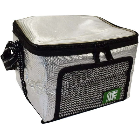 ToolUSA Lightweight Insulated Cooler Bag | 15 Liter Capacity | Double-Thick Insulation | Collapsible 14" (35.6 cm) Design | Ideal for Picnics, Road Trips & Daily Lunch | Silver with Black Trim