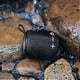 thumbnail image 3 of Portable Bluetooth Speaker, Wireless Mini Speaker, IPX67 Waterproof, Stereo Surround, 3 of 4