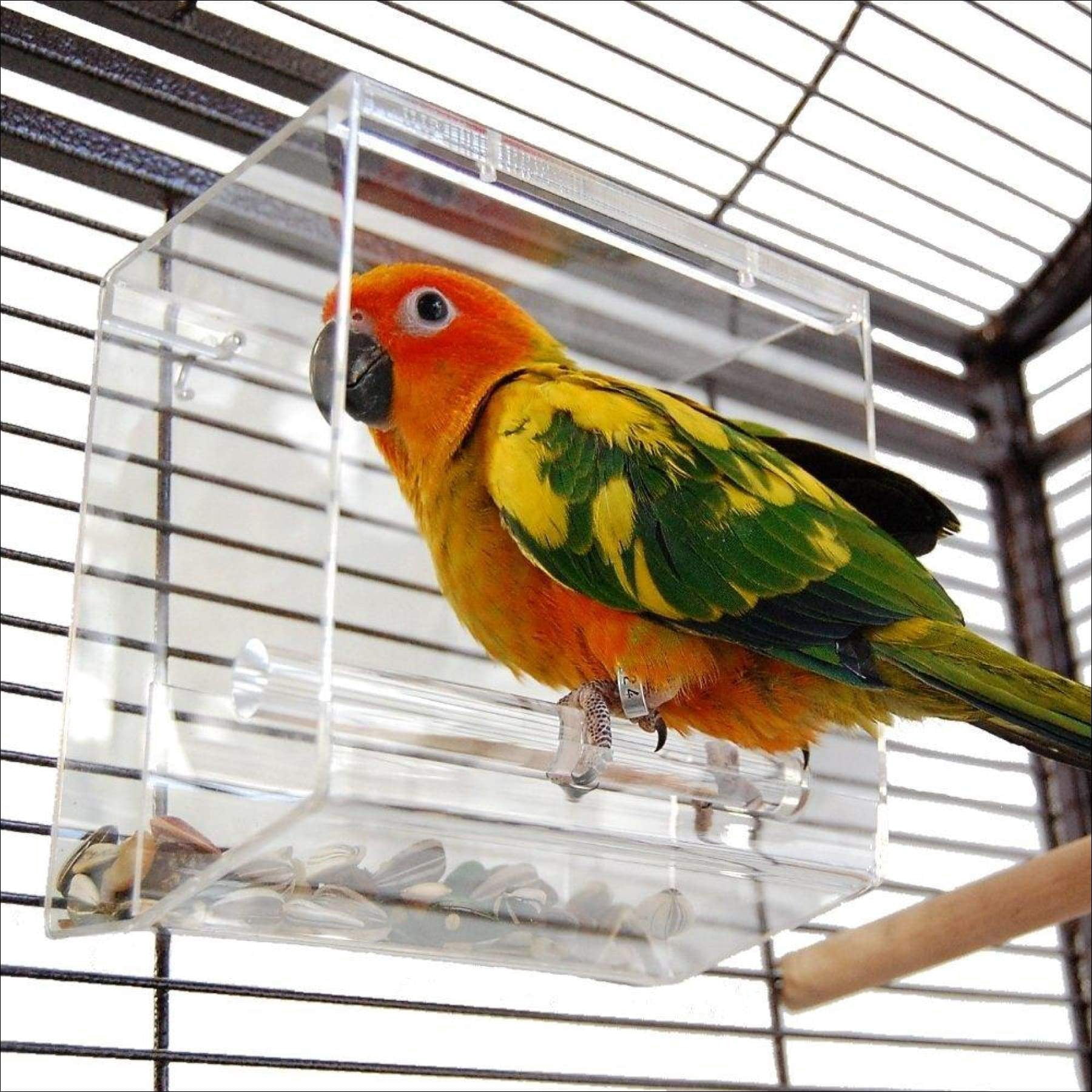 Tidy Seed No-Mess Bird Feeder for Small Birds, Spill-Resistant Cage Feeder to Help Keep Seed Inside for Budgies, Canaries, Finches, Lovebirds & Parrotlets