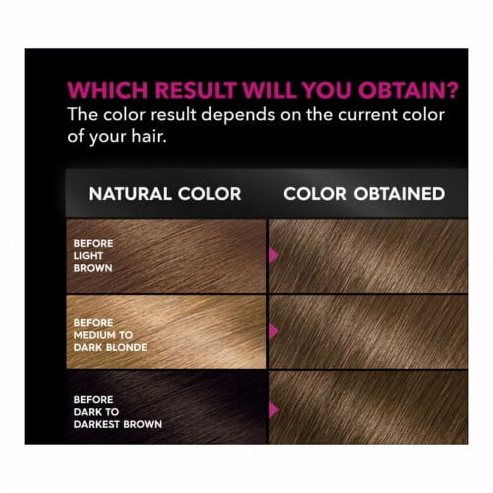2X - Garnier Olia Oil Powered Ammonia Free Permanent Hair Color 6.0 Light Brown - 1 kit