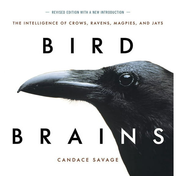 Bird Brains: The Intelligence of Crows, Ravens, Magpies, and Jays, (Paperback)