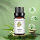 thumbnail image 5 of Hot6sl Ofertas de La Semana Paracetamol Alivia 10 Ml Cajeput, 5 of 7