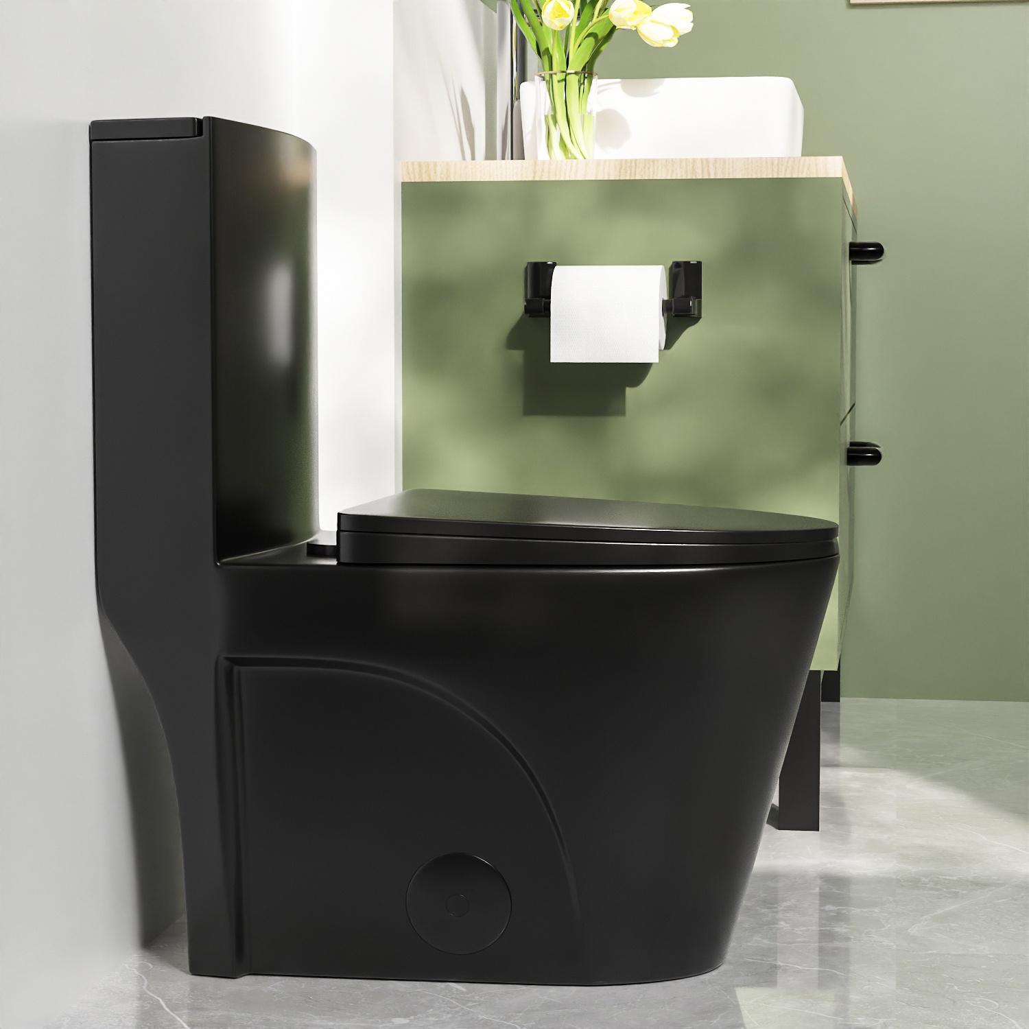 Ace 1-Piece 0.8/1.28 GPF Dual Flush Elongated Toilet in Black, Seat Included