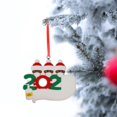 thumbnail image 3 of Daily Qaailabf PVC Personalized Survived Family Of Ornament 2020 Christmas Holiday Decor, 3 of 3