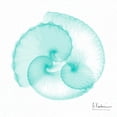 thumbnail image 2 of Koetsier, Albert 15x15 White Modern Wood Framed Museum Art Print Titled - Dry Argonaut Seafoam, 2 of 4