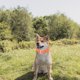 thumbnail image 3 of BESTYASH Collar Para Resistente En Cuero De Vaca Con, 3 of 7