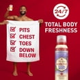 thumbnail image 2 of Desodorante Old Spice para todo el cuerpo, lavanda y menta, 100 ml, 2 of 9