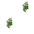 thumbnail image 4 of Advancent 10x Decoración De Plantas No Tóxicas - Para Oficinas Y Salas De Estar Jardín Arreglo Frescura Type5 NO5, 4 of 6