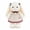 Female Hani Rabbit, variant on Lop Bunny Plush Doll, Cute Rabbit Stuffed Animal Gift with Dress for Room Decor