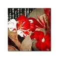 thumbnail image 2 of Trademark Fine Art "China Red I" Canvas Art by Color Bakery, 2 of 4