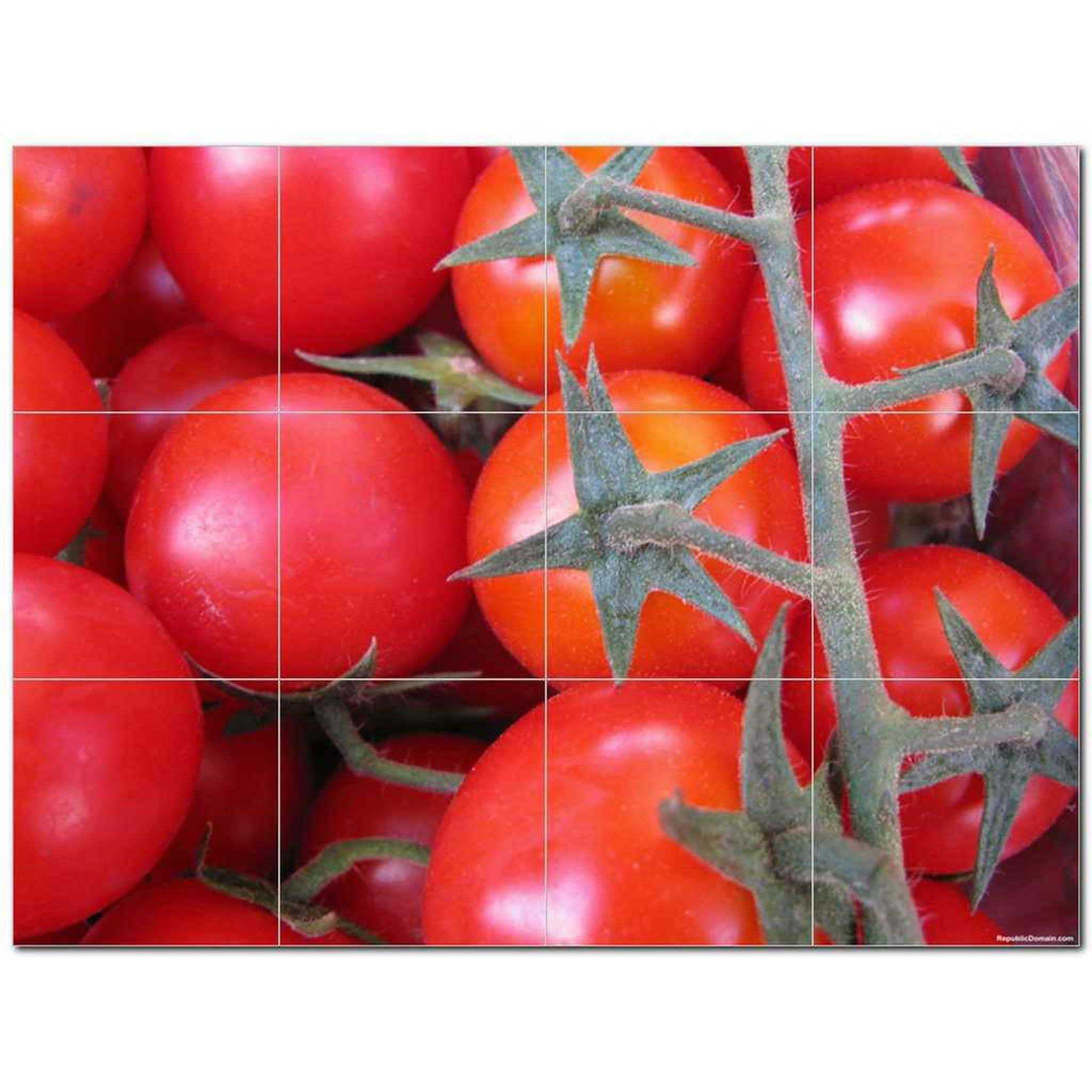 Fruits Vegetables Ceramic Tile Mural Kitchen Backsplash Bathroom Shower