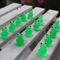 thumbnail image 3 of Mini Ranas Luminosas Que Brillan en la Oscuridad, Figuras en Miniatura, Decoración de Paisaje, Rana, Jardín de Hadas, Miniaturas DIY A, 3 of 5