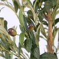 thumbnail image 7 of ShadeMart 83" Tall Artificial Olive Tree with Realistic Leaves and Olives, Fake Olive Trees Artificial Indoor, Realistic Large Olive Plants for Indoor Outdoor Office Décor - Pot Style 03, 7 of 7