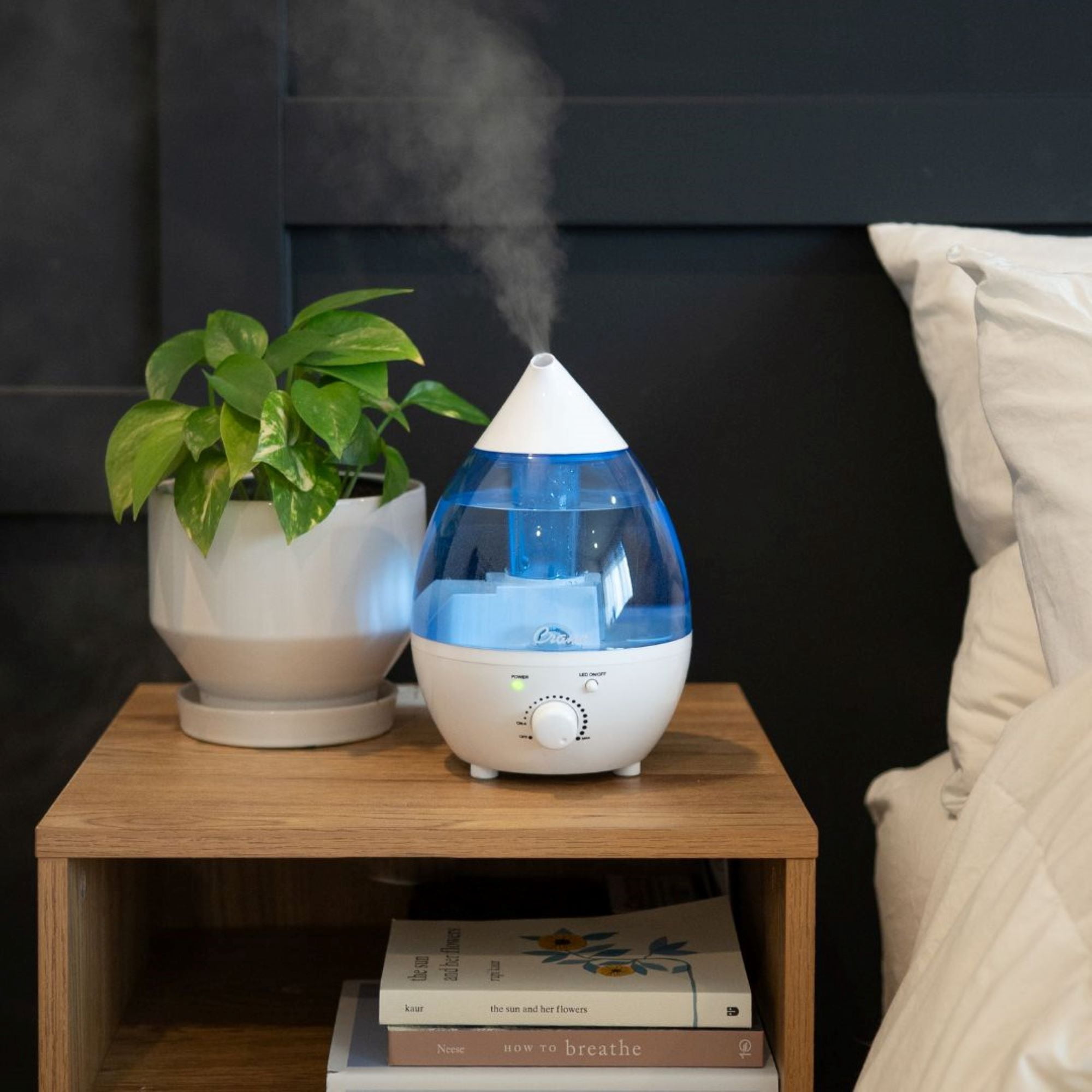 Crane Mini Drop Cool Mist Humidifier, 0.35 Gal, Quiet Ultrasonic, Filter-Free, Small Room Humidifier, Baby Humidifier