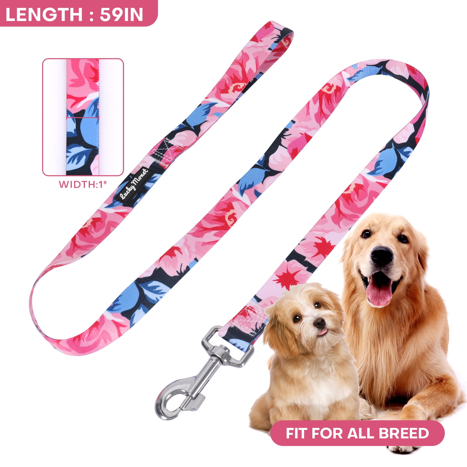 Lucky Love Dog Collars, Vivid Floral Girl or Boy Dog Collar & Leash  Set for Sma
