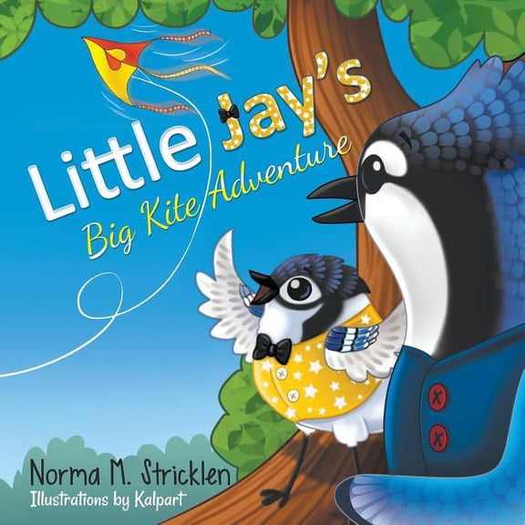 Little Jay's Adventure Little Jay's Big Kite Adventure, Book 1, (Paperback)