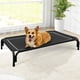 thumbnail image 1 of Cama Elevada para Perros Czpalo para Perros Medianos hasta 27 kg, 1 of 6