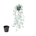 thumbnail image 2 of Artificial Hanging Plant, Wall Hanging Fake Greenery with Pot, Faux Green Leaf Plant for Living Room, Bedroom, and Boho Wall Decor, Indoor Outdoor Use, 2 of 7
