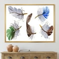 thumbnail image 2 of Designart 'Colourful Boho Feather Set On White IV' Bohemian & Eclectic Framed Canvas Wall Art Print, 2 of 5