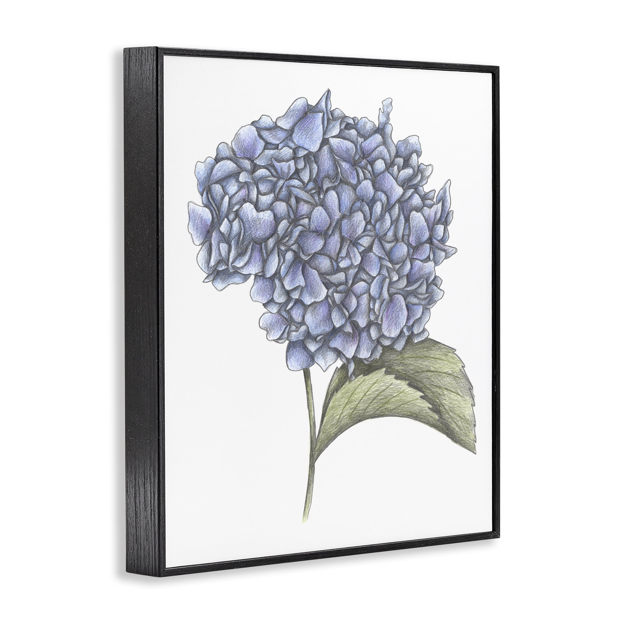 Hydrangea Sketch Blossom Black Framed Giclee Art, design by Cecilia Battaini