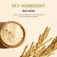 thumbnail image 5 of OOTD Beauty Rice Water, Retinol & Ceramide Smoothing Toner Pads, 70 Count, 5 of 7