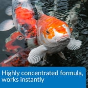 Api Aquaessential Pond, 32 Oz