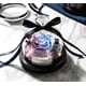 thumbnail image 1 of La Bella y la Bestia Preservaron el regalo del día de San Valentín Exclusiva rosa en cúpula de cristal con luces Eterna Rosa real Día de la madre Gif Xemadio 2027187-10, 1 of 1