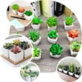 thumbnail image 5 of Efavormart Set of 3 | 5'' Assorted Mini Echeveria Artificial Faux Succulent Plants in Ceramic Pot with Decorative Rocks, 5 of 11