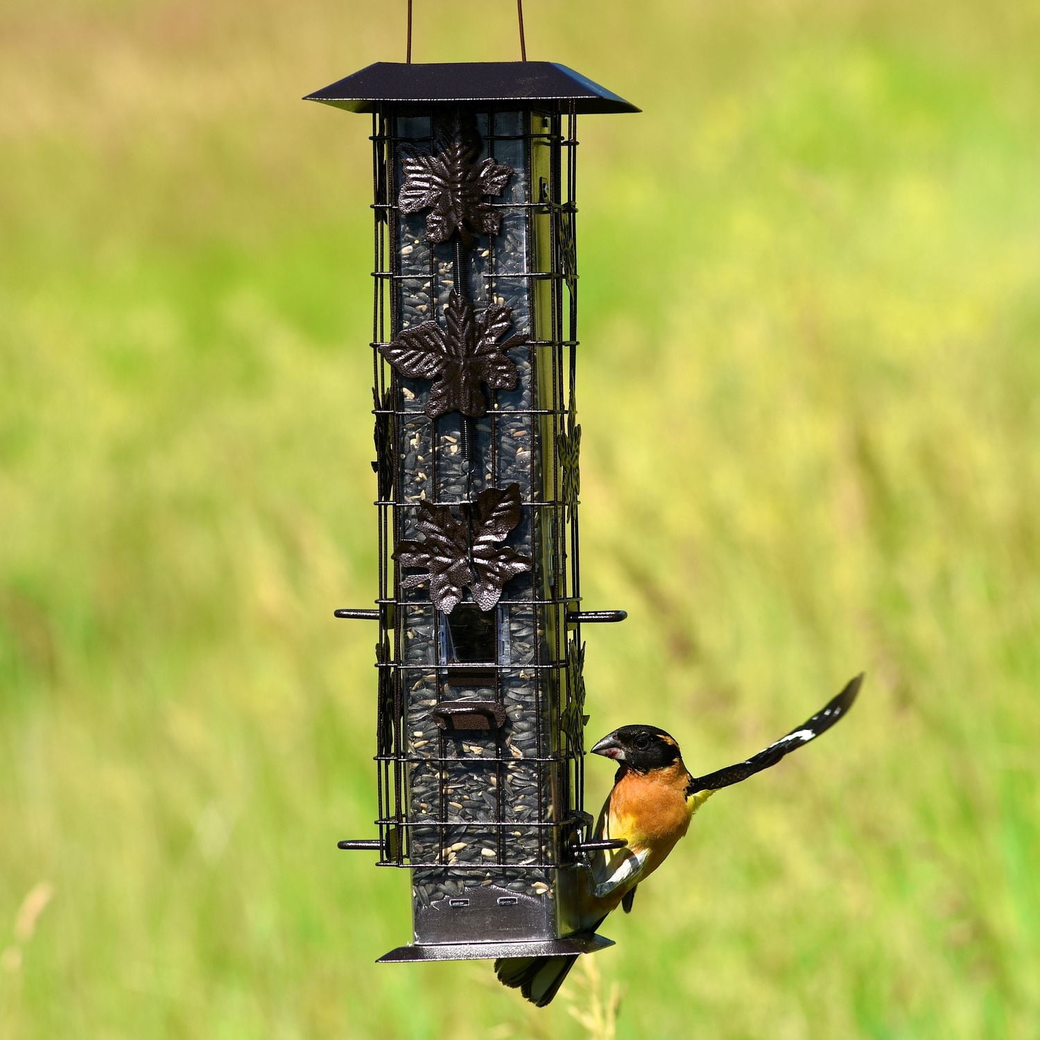 Perky-Pet Squirrel-Be-Gone Wild Bird Feeder