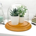 thumbnail image 2 of Plymor 5.5" x 5.5" Glass Display Dome Cloche (Oak Veneer Base), 2 of 2