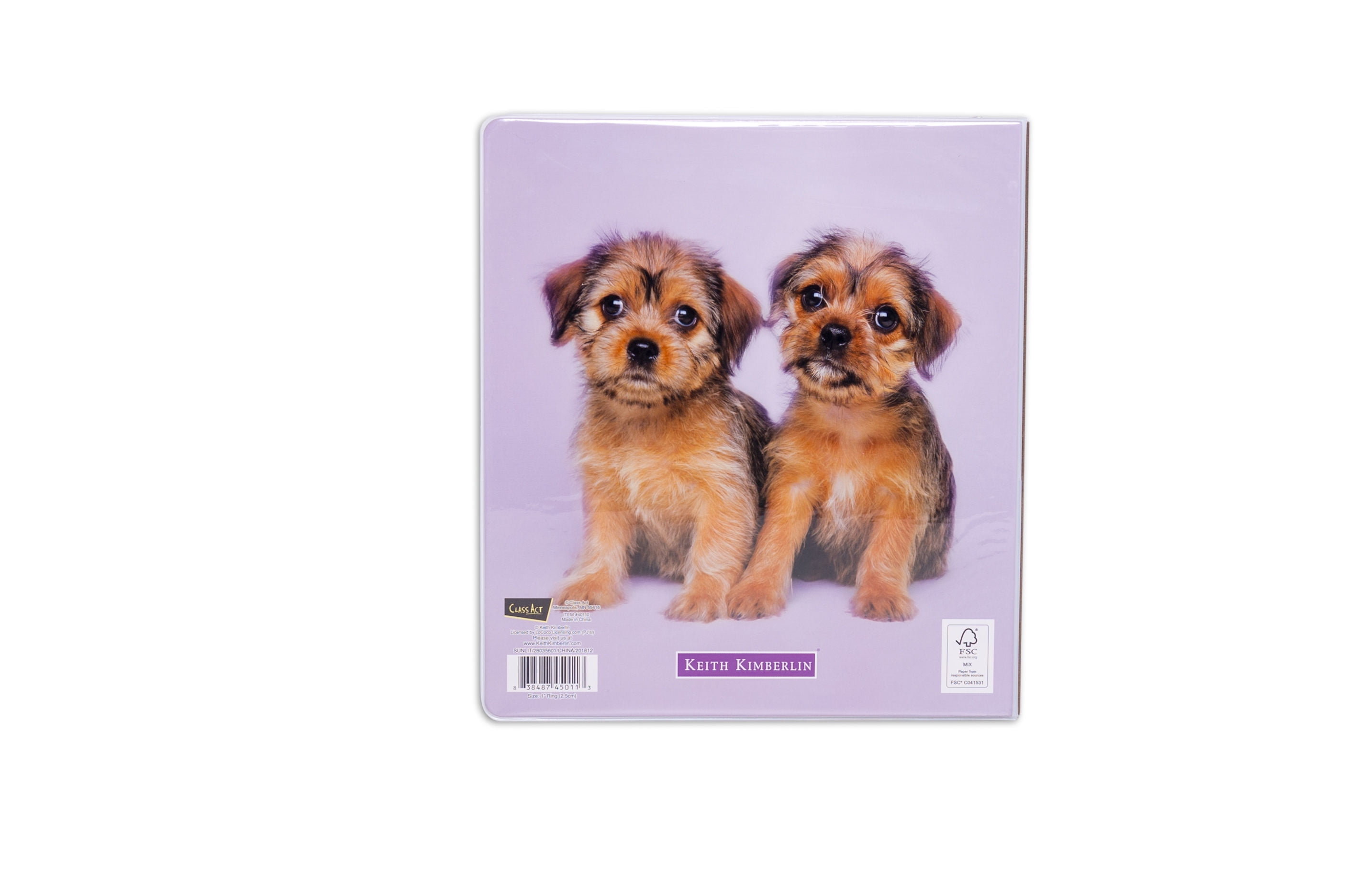 dog ring binder