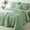 Green, variant on Davulos Green Comforter Set Queen Size,3 Pieces Modern Lightweight Queen Bedding Comforters Sets with Pillowcase Cozy Bed Set for All Season