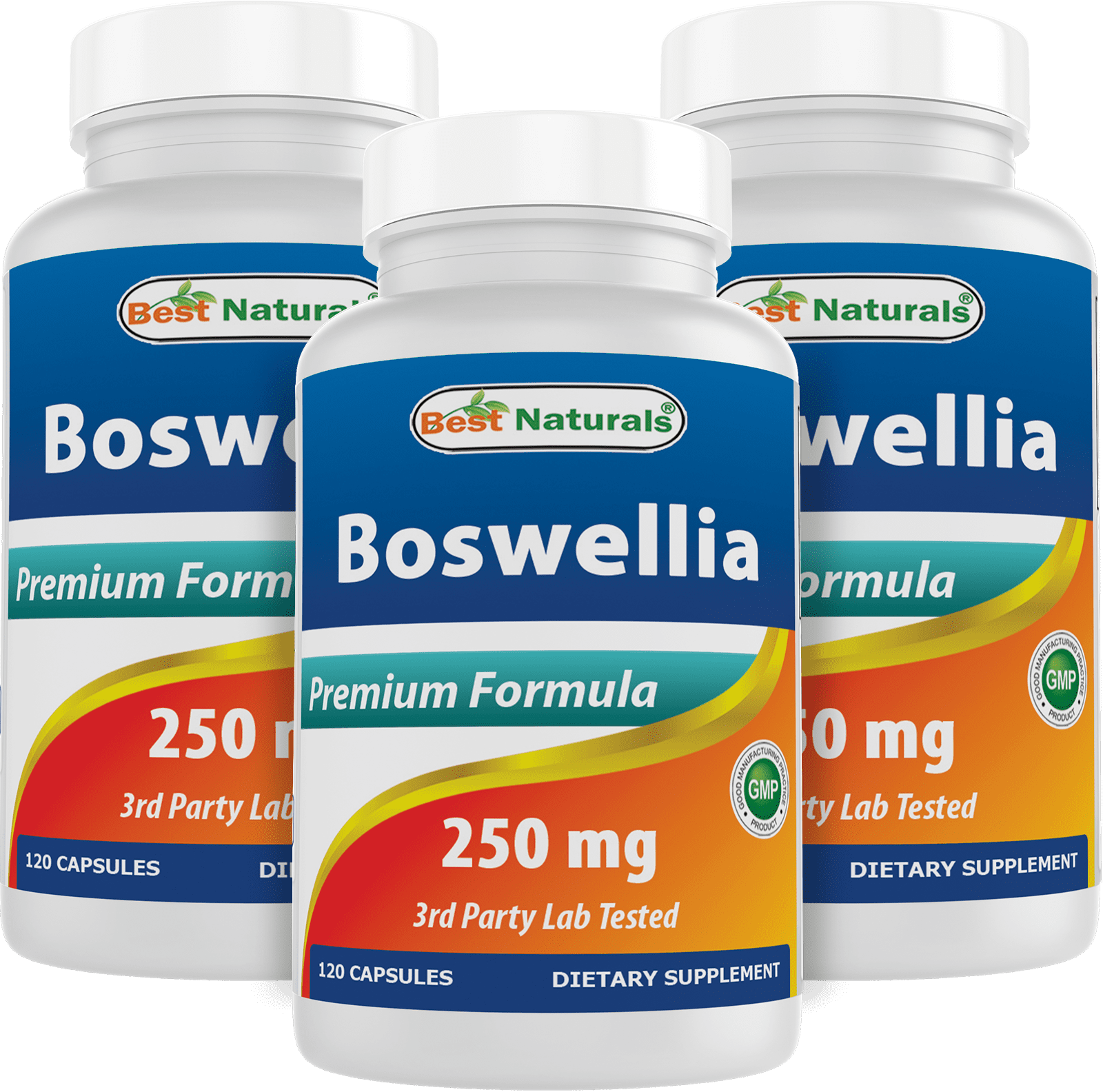 3 Pack Best Naturals Boswellia 250 mg 120 Capsules Standardized to 65