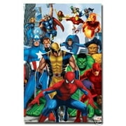 Marvel Heroes Poster Amazing Collage New 24x36