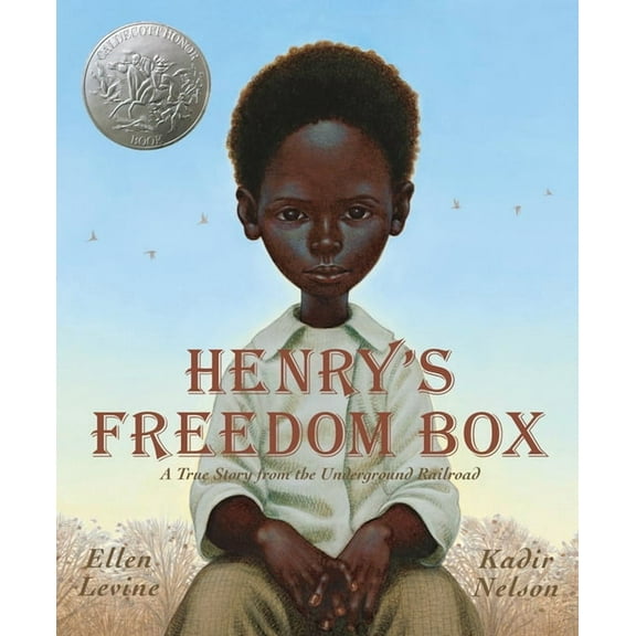 Henry's Freedom Box: A True Story from the Underground Railroad (Hardcover)