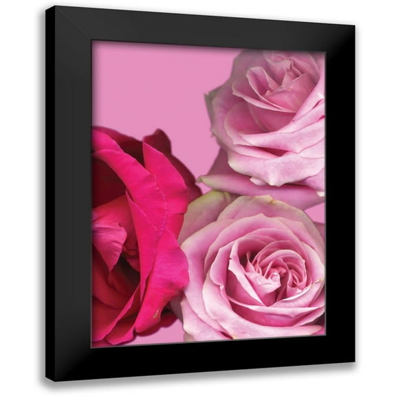 Diskin, Ceil 11x14 Black Modern Framed Museum Art Print Titled - Pink Red Roses