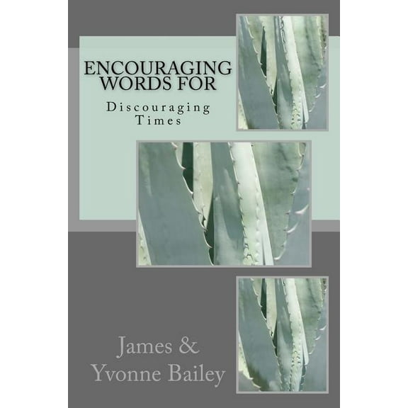 Encouraging Words for Discouraging Times (Paperback)