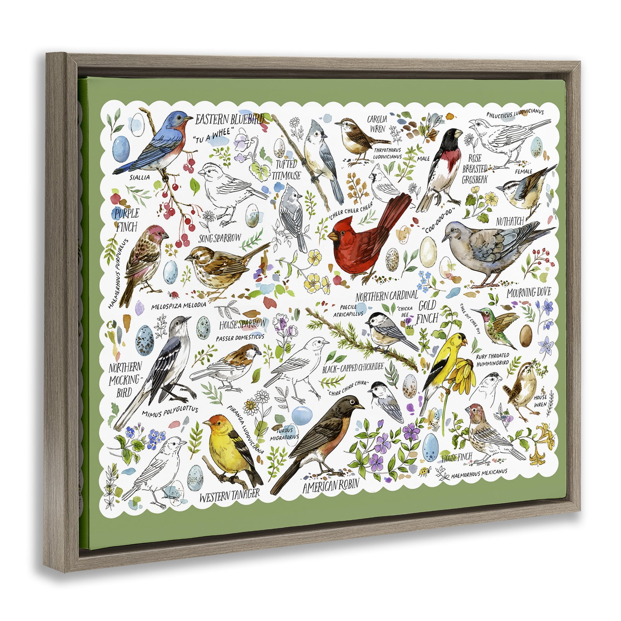 Stupell Industries Various Bird Species Animals & Insects Painting Brown Floater Framed Art Print Wall Art, 21 x 17