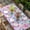 Purple, variant on Spring Floral Table Cloths for 3 Foot Rectangle Tables, Summer Botanical Purple Pink Flower Patio Waterproof Elastic Fitted Tablecloths, Washable Rectangular Table Cover for Camping