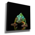 thumbnail image 2 of Epic Graffiti 'Sneaky Cameleon' by Epic Portfolio Giclee Canvas Wall Art, 12"x12", 2 of 8