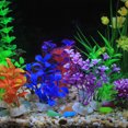 thumbnail image 3 of Plantas de acuario artificiales Decoraciones de peceras Plantas de acuario de plástico 10 yeacher  estándar, 3 of 7