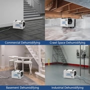 ALORAIR 120 Pints Commercial Dehumidifier for Crawl Spaces & Basements with Drain Hose, Compact Dehumidifiers for Home and Industry Water Damage, Auto Defrost, 5-Year Quality Coverage
