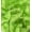Lime Green, variant on EOVEA Shaggy Faux Fur Fabric by The Yard - 36" X 60" Inch - Long Pile Fur - Fake Fur Materials - Soft & Fluffy Craft Fabric Supplies for DIY Arts & Crafts, Apparel, Costume, Rug(Lime Green, One Yard)