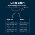 thumbnail image 2 of Ruffwear , Collier pour Chien à Réaction Web, Collier Martingale pour la Marche en Laisse, Vert Rivière et Roche, 20 Pouces-23 Pouces, 2 of 9