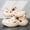 Beige, variant on Men's Clogs, New Summer Outdoor Lightweight Soft Thick-Soled Beach Closed-Toe Cool Slippers, Driving Sandals, Outdoor Sports Sandals
