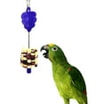 thumbnail image 6 of TINYSOME Stainless Steel Meat Food Holder Stick Fruit Skewer Bird Treating Tool Parrot Toy, 6 of 12