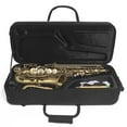 thumbnail image 1 of Runquan Alto Saxophone Case External Pocket Padded Carry Case Saxophone Carrying Bag, 1 of 8